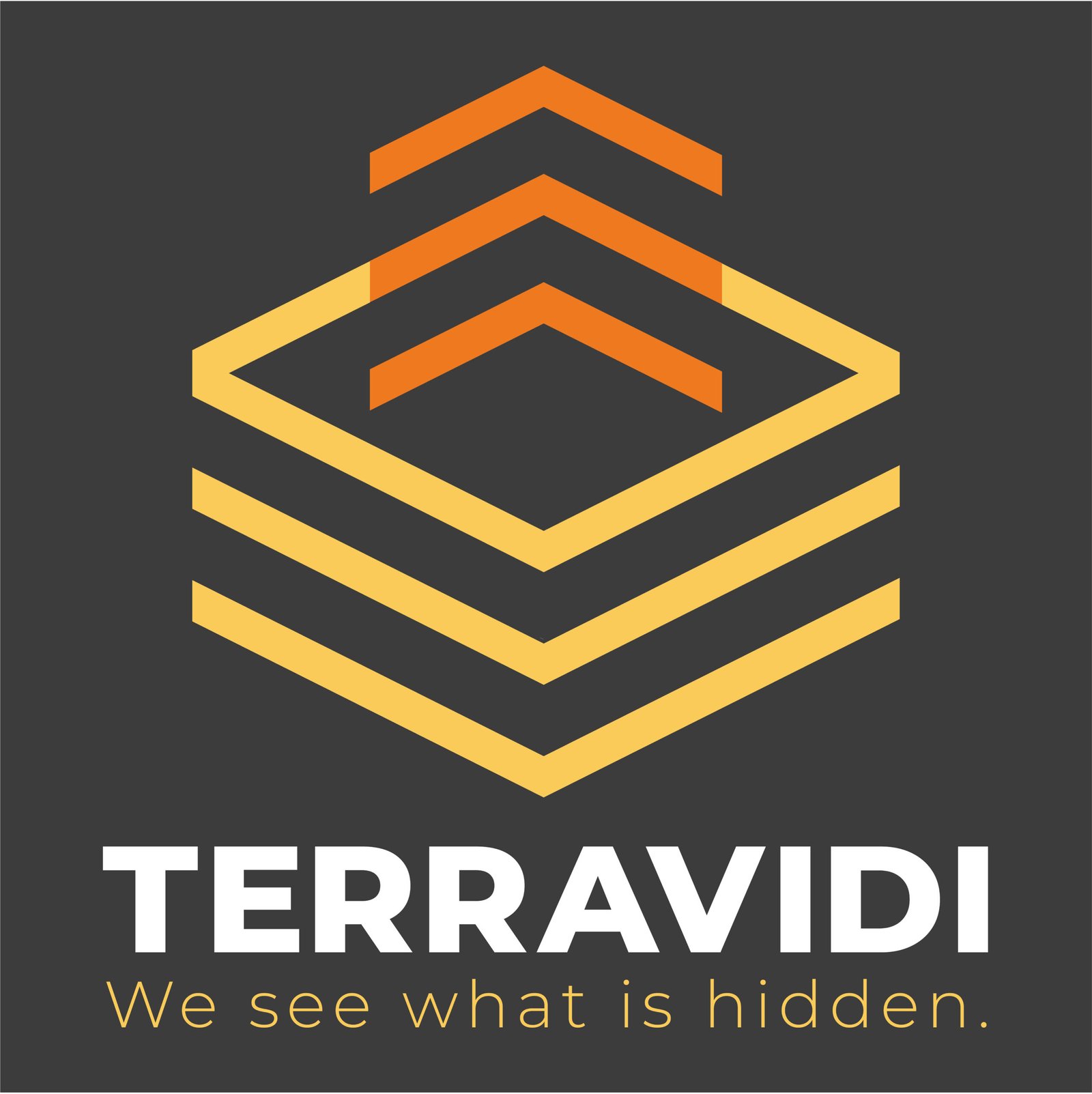 TERRAVIDI Logo &ndash; Experten f&uuml;r zerst&ouml;rungsfreie Bodenuntersuchung und Georadar.